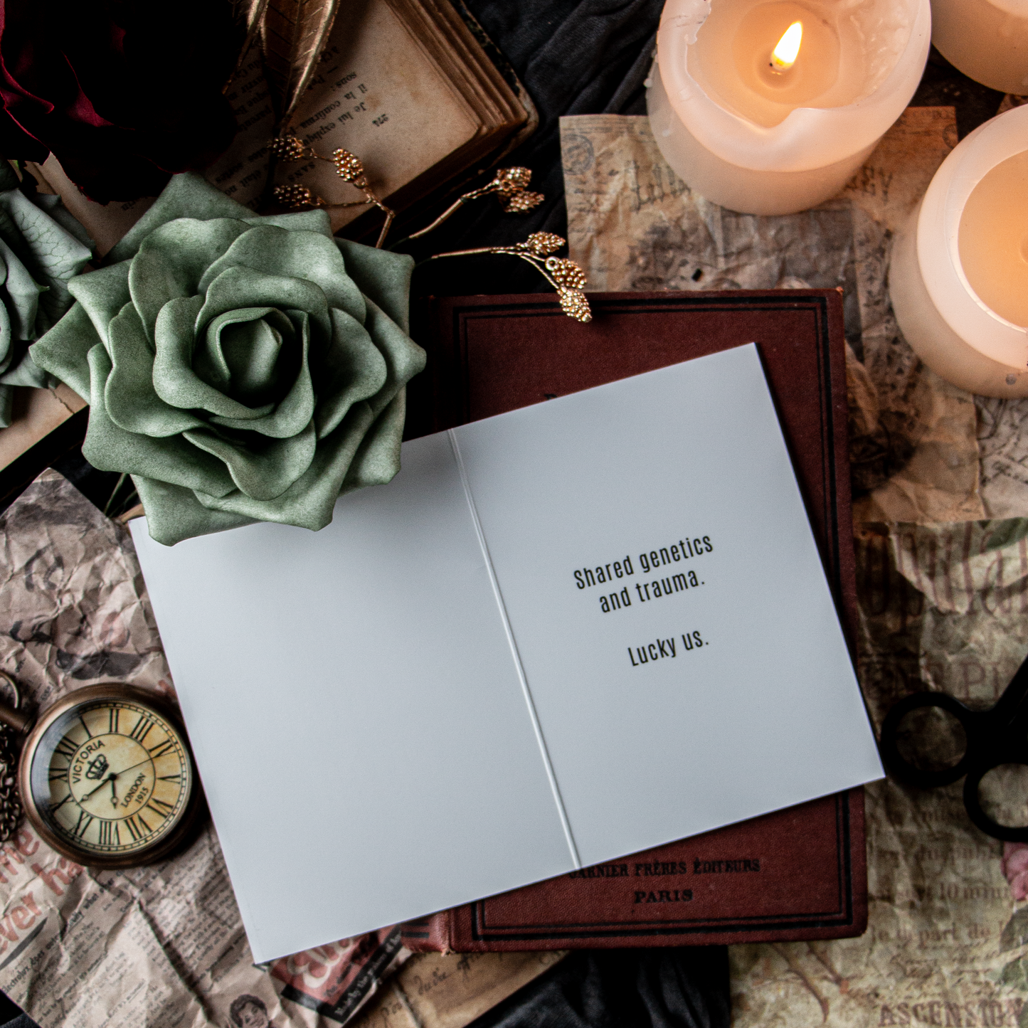 A birthday card with the text 'HAPPY BIRTHDAY BITCH' and 'Shared genetics and trauma. Lucky us.